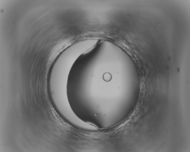 X0000088390293200706121217