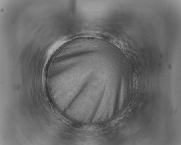 X0000088390294200706121217