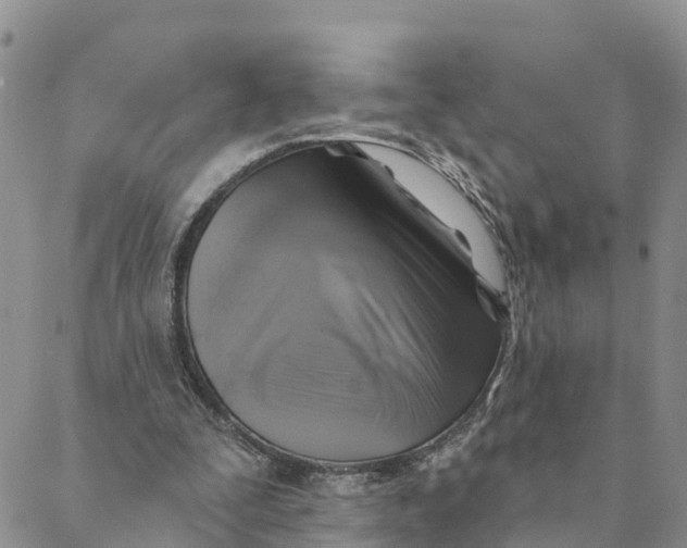 X0000088390295200706121217