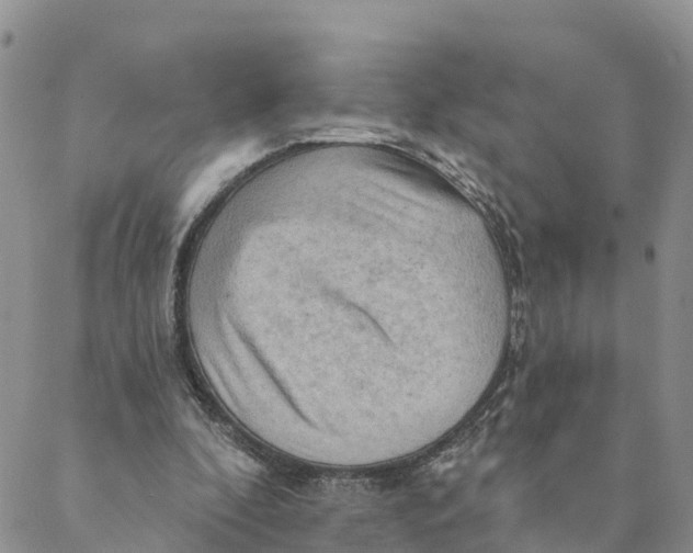 X0000088390296200706121217