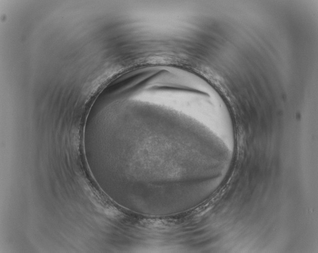 X0000088390297200706121217