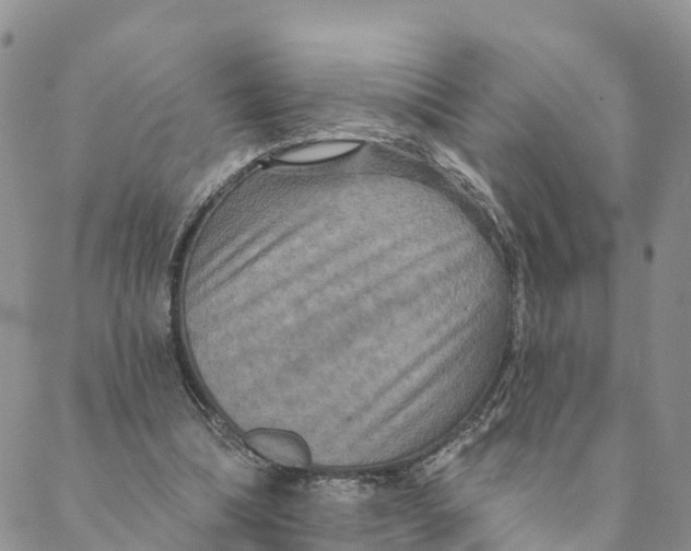 X0000088390298200706121217