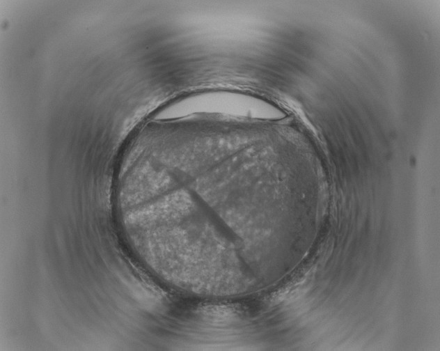 X0000088390299200706121217