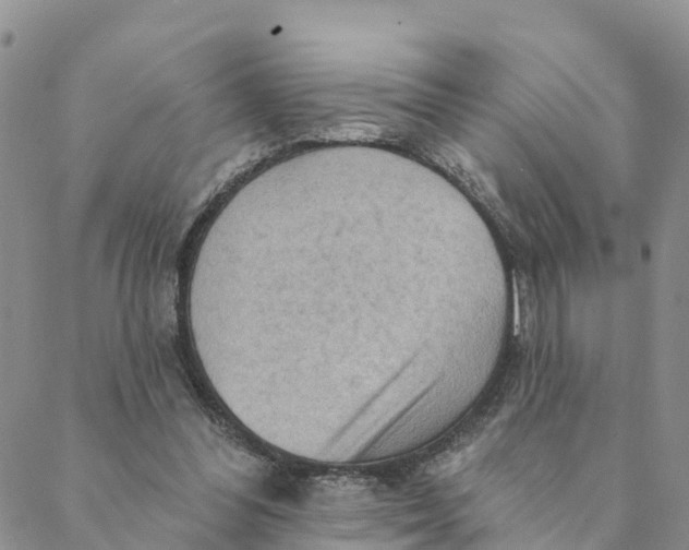 X0000088390300200706121217