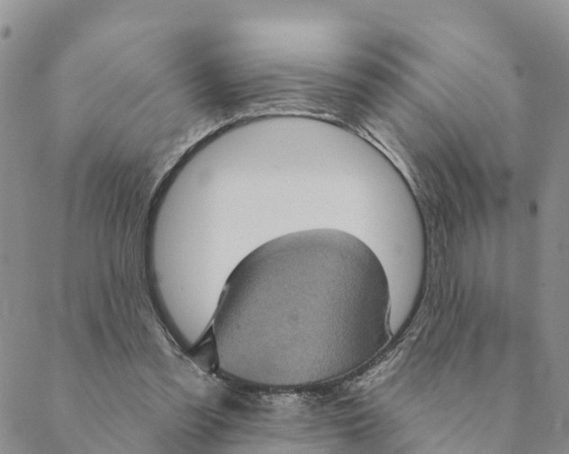 X0000088390301200706121217