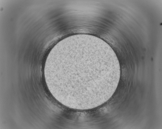 X0000088390302200706121217