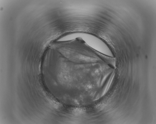 X0000088390303200706121217