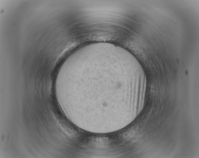 X0000088390304200706121217