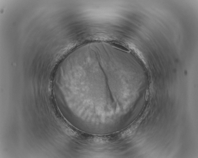 X0000088390305200706121217