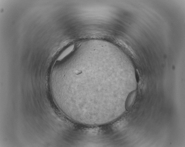 X0000088390306200706121217