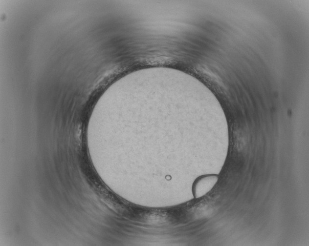 X0000088390308200706121216