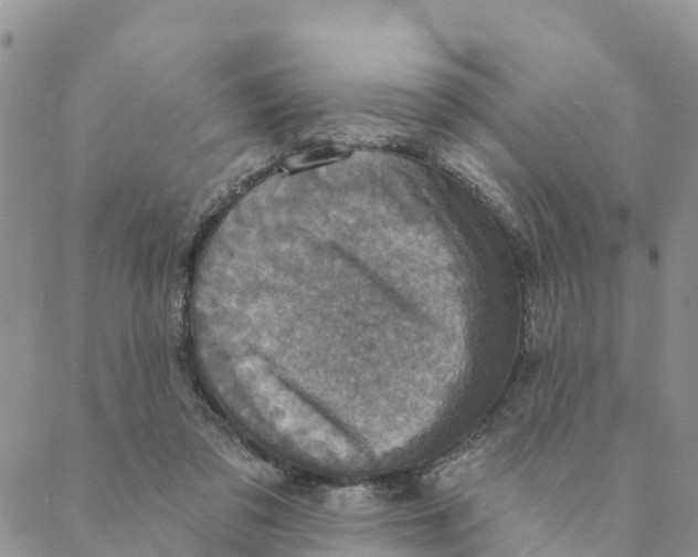 X0000088390309200706121216