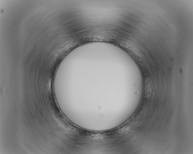 X0000088390310200706121216