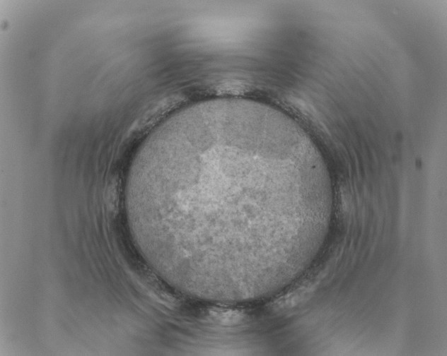 X0000088390311200706121216