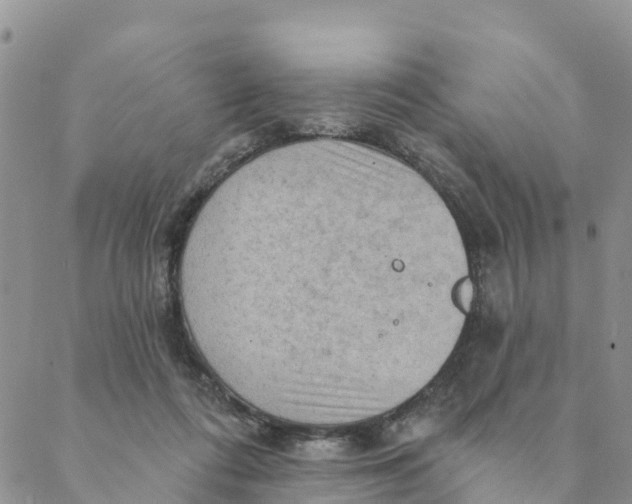 X0000088390312200706121216