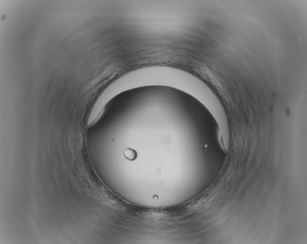 X0000088390313200706121216