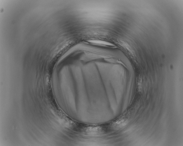 X0000088390314200706121216