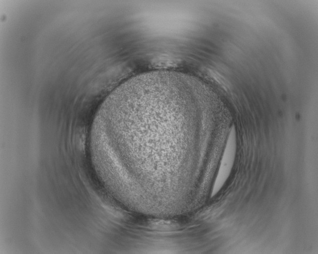 X0000088390315200706121216