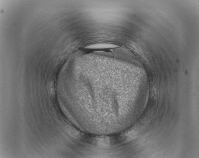 X0000088390317200706121216