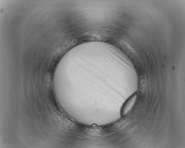 X0000088390318200706121216