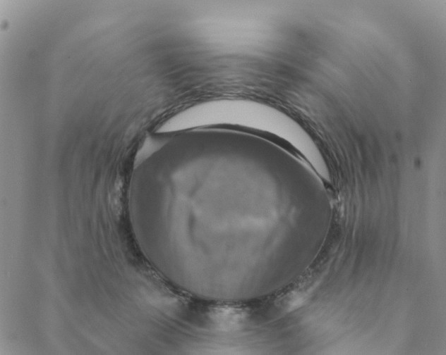 X0000088390319200706121216