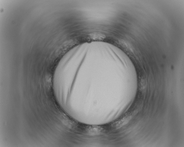 X0000088390321200706121216