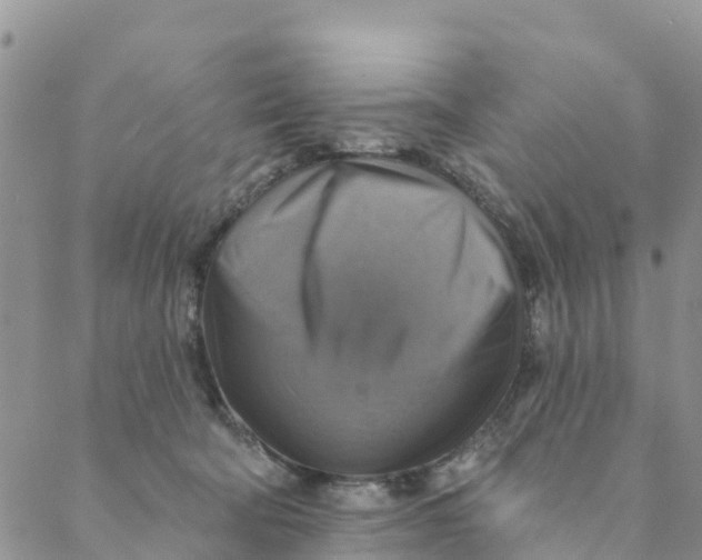 X0000088390322200706121216