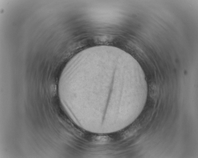 X0000088390324200706121216