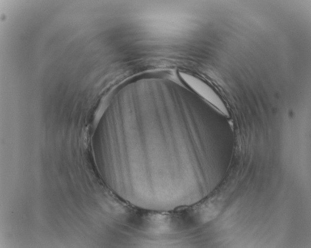 X0000088390325200706121216