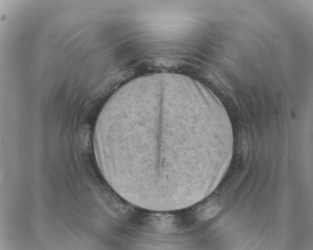 X0000088390328200706121216