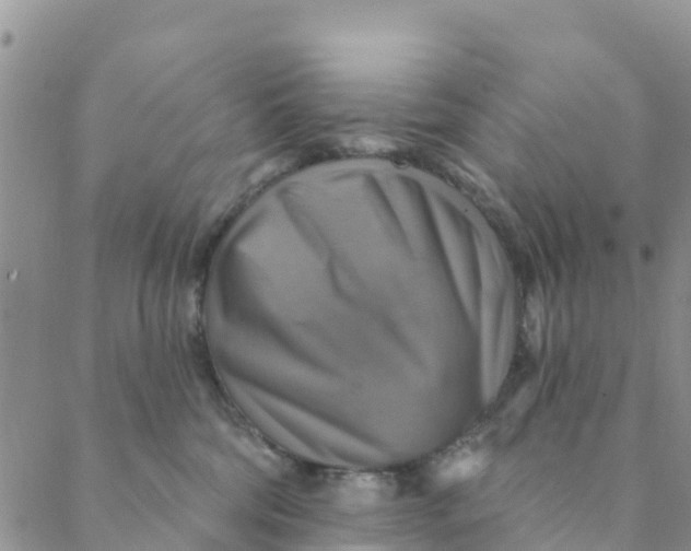 X0000088390330200706121216