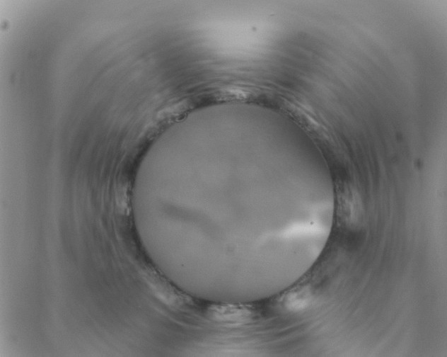 X0000088390331200706121216