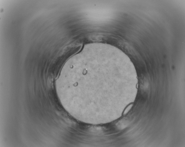 X0000088390332200706121216