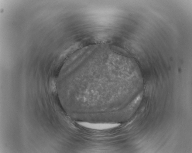 X0000088390335200706121216