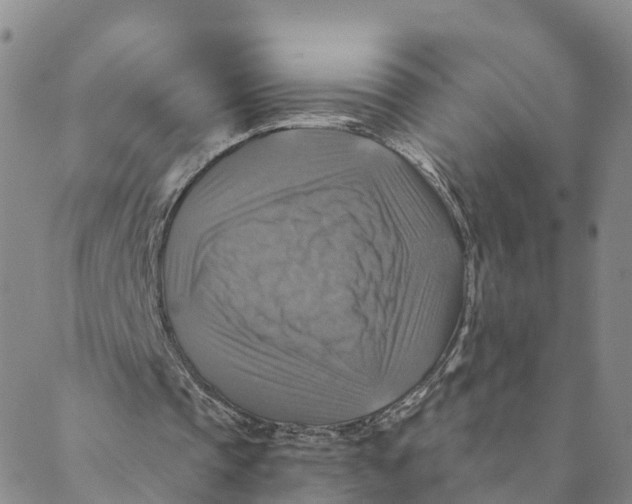 X0000088390337200706121215