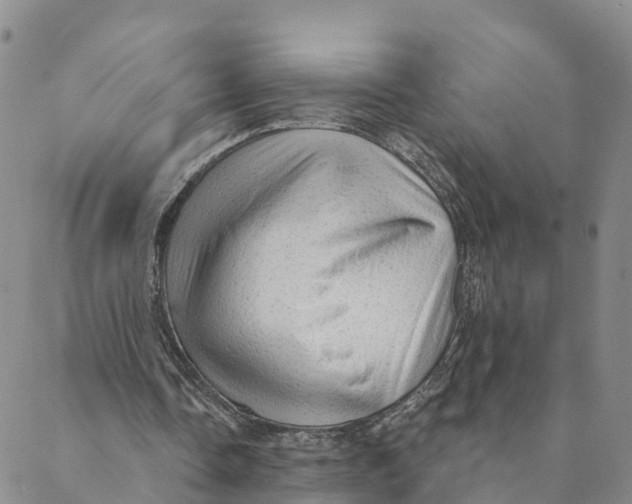 X0000088390338200706121215