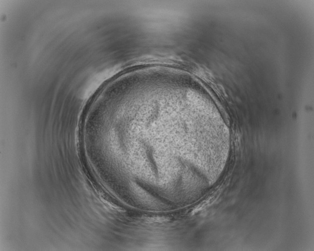 X0000088390340200706121215