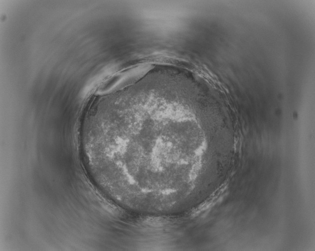 X0000088390341200706121215