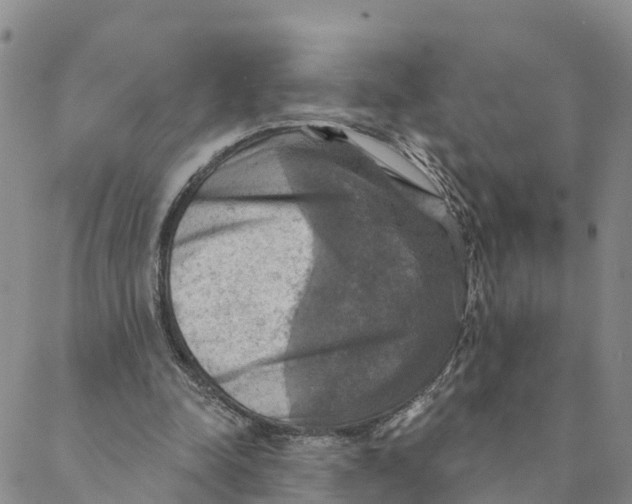 X0000088390342200706121215