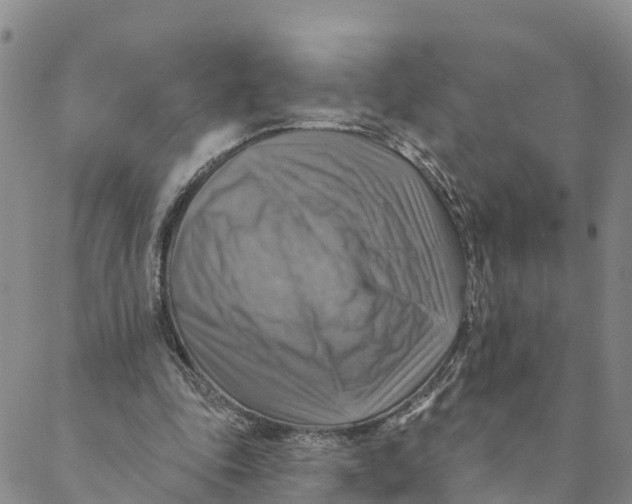 X0000088390343200706121215