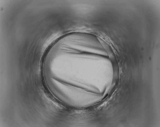 X0000088390344200706121215