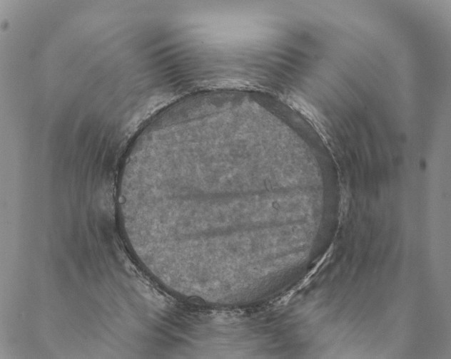 X0000088390345200706121215