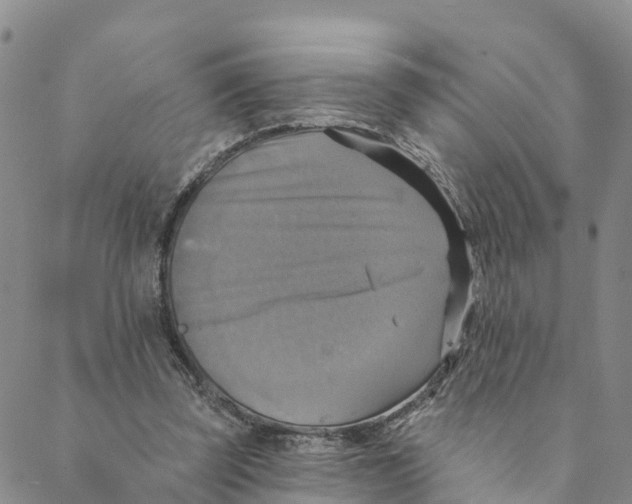 X0000088390347200706121215