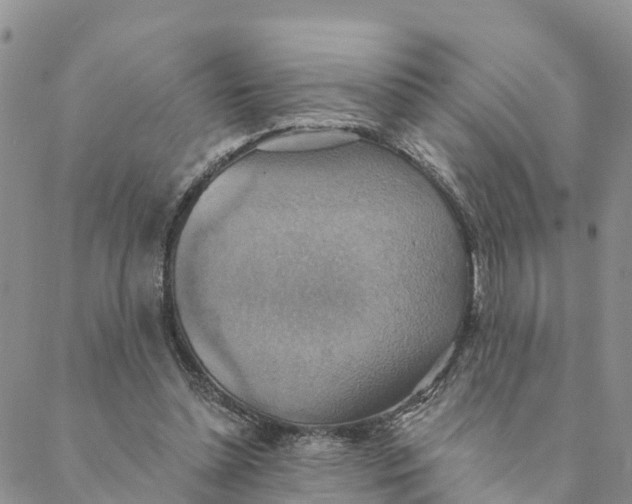 X0000088390348200706121215