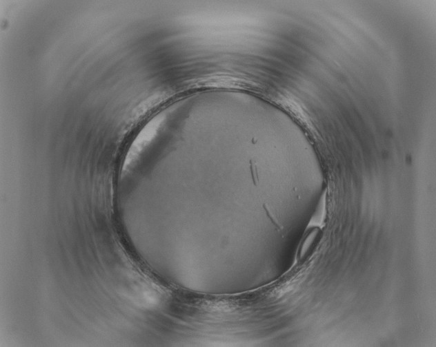 X0000088390349200706121215