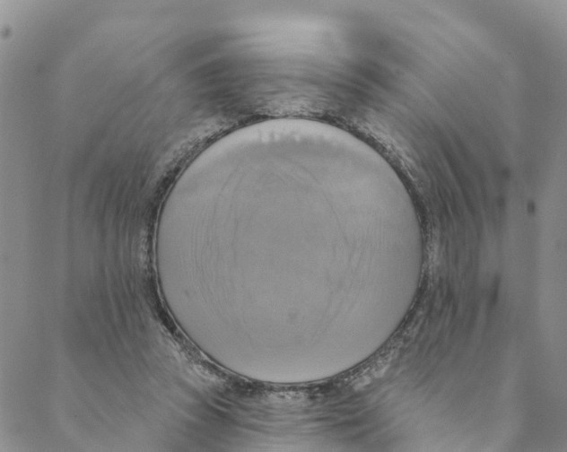 X0000088390353200706121215