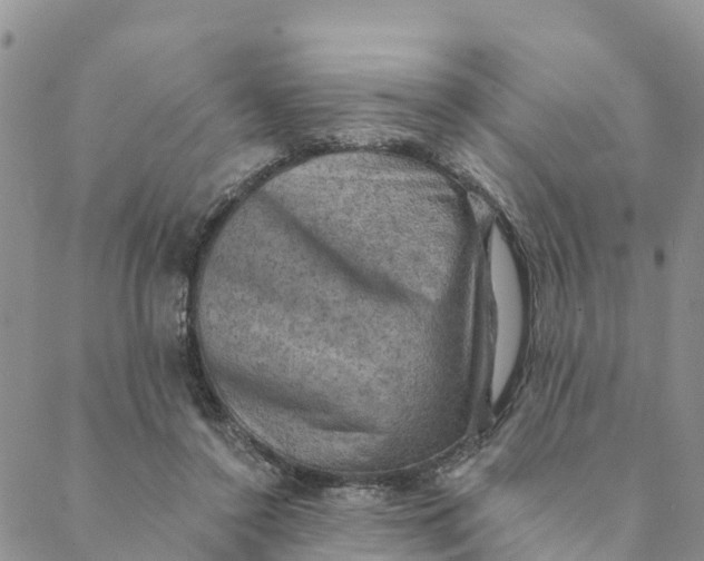 X0000088390356200706121216