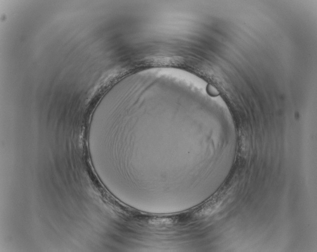 X0000088390357200706121216