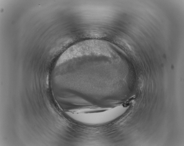 X0000088390358200706121216