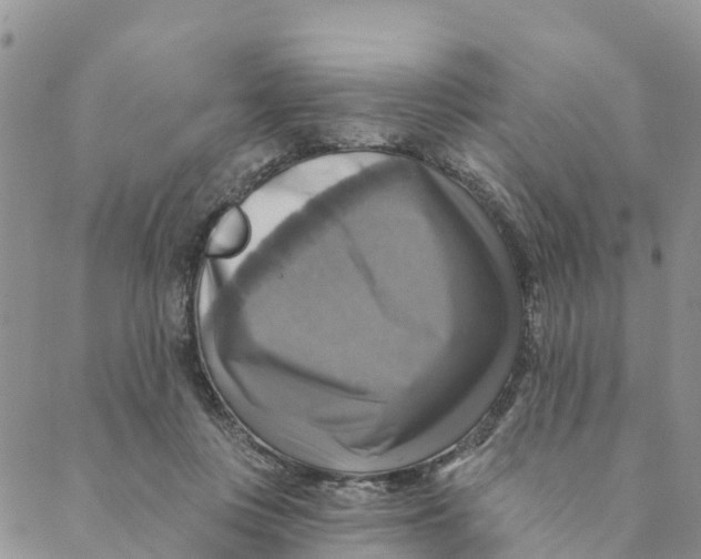 X0000088390359200706121216